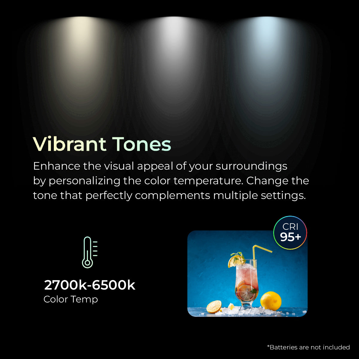 Digitek DCL-100WBC DC Combo Bi Color Continuous AC/DC LED Light DCL-lOOWBC DC Combo with 18 CM Reflector - Digitek