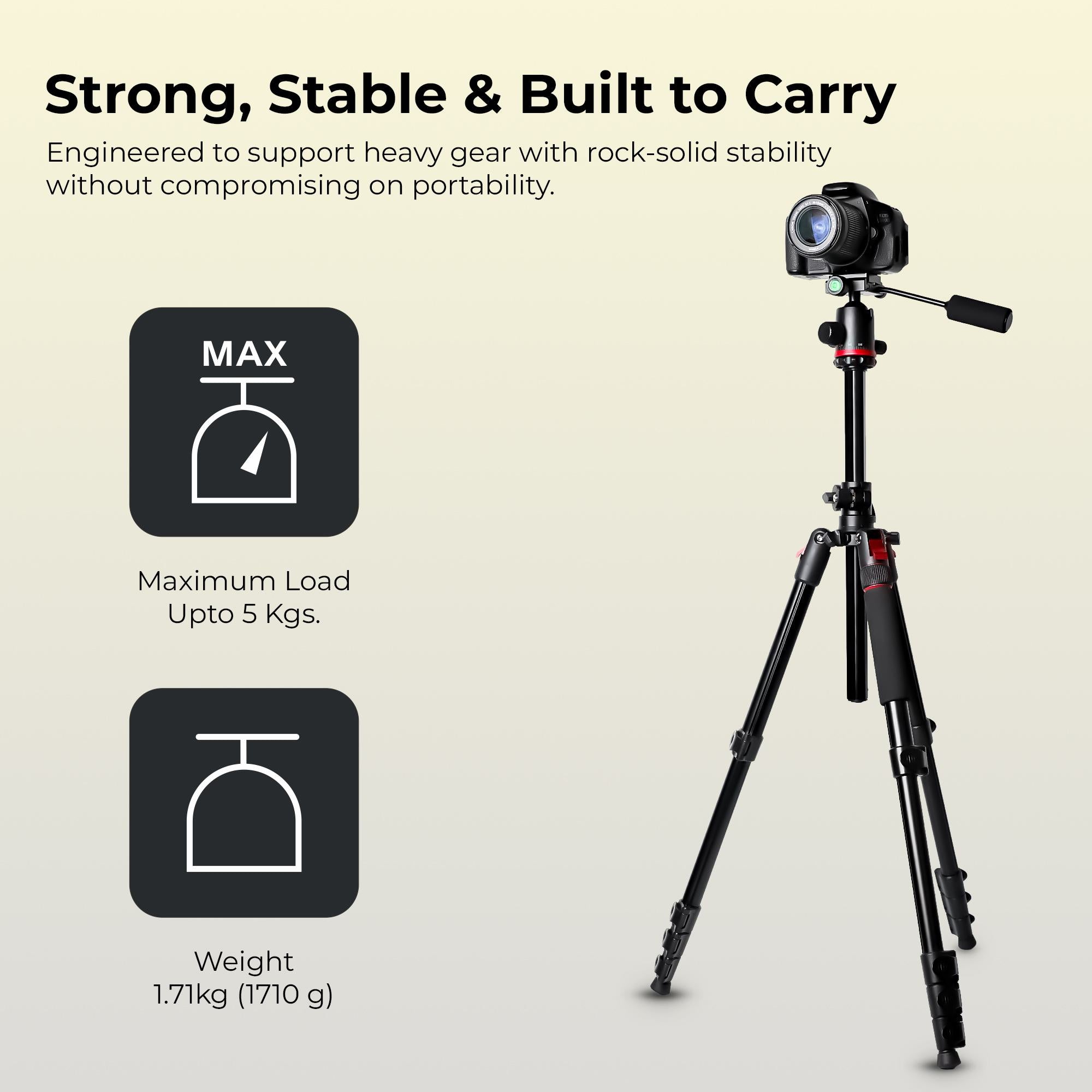 Digitek (DTR 530 BH) Multi-Angle DV Tripod cum Monopod with Ball Head, Quick Release, 5-Section Legs, 5kg Load, 5.44ft Max Height, Ideal for Macro, Panning & Low Angle Photo & Videography