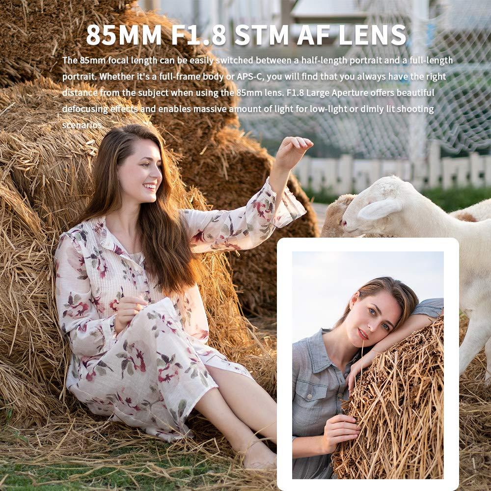 VILTROX 85mm F1.8 STM Autofocus Large Aperture Full-Frame Portrait Lens Wide Compatible with Nikon Z-Mount Z5/Z6/Z7/Z6 II - Digitek